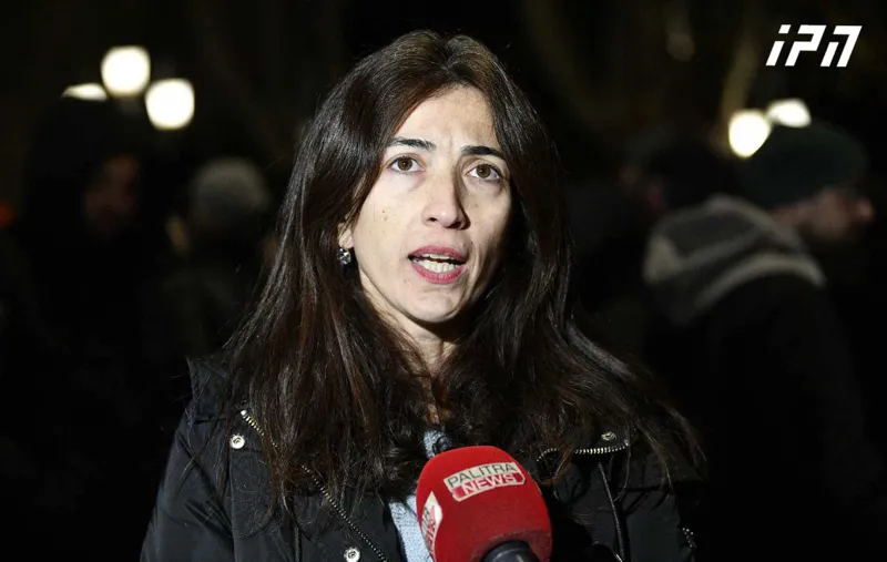 Nino Dolidze: The reorganization at the CEC proceeded hastily and without justification. The structural problems were not investigated, the flaws were not assessed, and the real reasons for the reorganization remain unknown