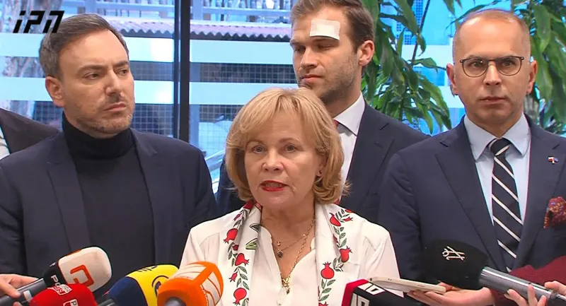 Rasa Juknevičienė: We would like to express solidarity with those who wave European flags in the streets and fight for what is written in the Georgian constitution - for the Euro-Atlantic path