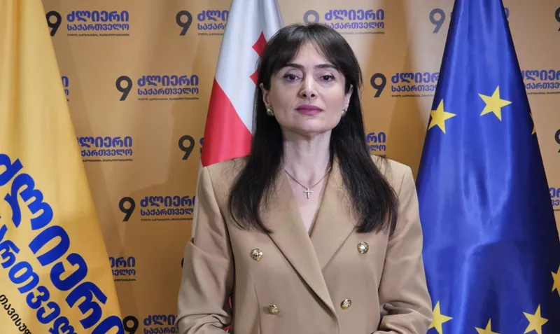 ლანა გალდავა - მედიის მიმართულებით დაინიცირებული ცვლილებები აბსოლუტურად რეპრესიული ხასიათისაა - როდესაც ხელისუფლება შეიცვლება, ეს კანონებიც გაუქმდება