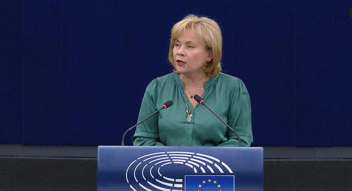 Rasa Juknevičienė: 我对欧盟和其他国家记者的呼吁是经常提到Mzia Amaglobeli