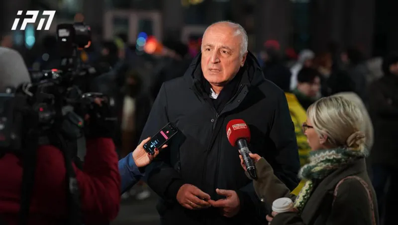 Badri Japaridze: We had a very useful and good conversation with the President about how new elections should be held