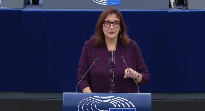 The Vice President of the European Commission: The European Union will not abandon the Georgian people