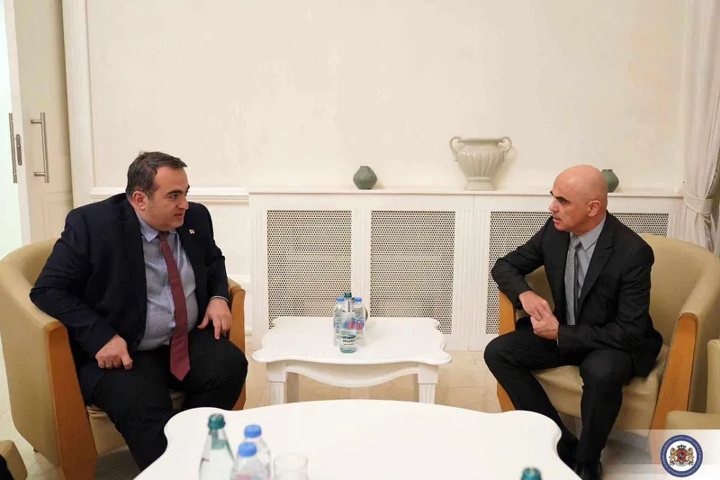 Council of Europe Secretary General arrives in Georgia