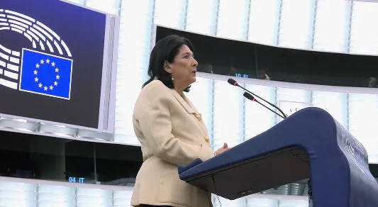 Salome Zurabishvili: Georgia is under complete control of a single-party or one-man rule