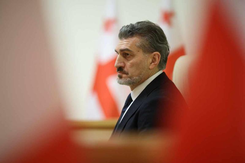 米哈伊尔·卡维拉什维利：我建议所有已被定罪的政治家向我申请赦免，并确认他们参与选举的愿望——在这种情况下，我将立即颁发赦免令。