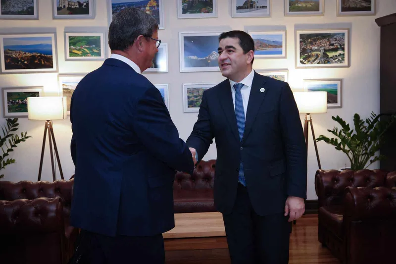 Shalva Papuashvili: Based on the interest of the Council of Europe's monitoring mission, I noted that the government is doing significant work to ensure that real, substantial steps toward EU integration are taken in a timely manner