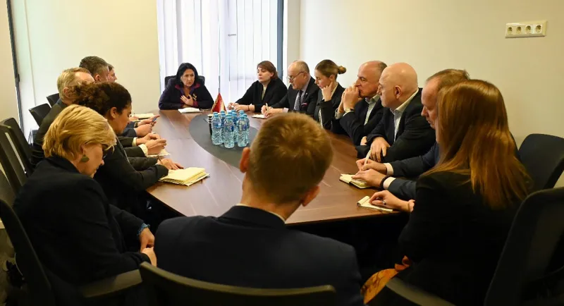 Salome Zurabishvili meeting with ambassadors of EU member states together with opposition parties