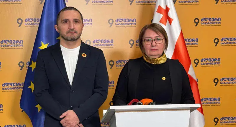 Pikria Chikhradze: The order of the Minister of Education, which concerns the introduction of a personal data protection officer in the structure of schools, serves to continue the wave of terror that has begun in the country