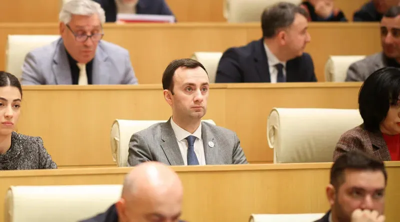 Levan Makhashvili: For the opposition, only their narrow political interests are valuable - If necessary, one day they will idolize the U.S. Ambassador, and the next day they will attack them on Facebook and bury the entire embassy in the ground