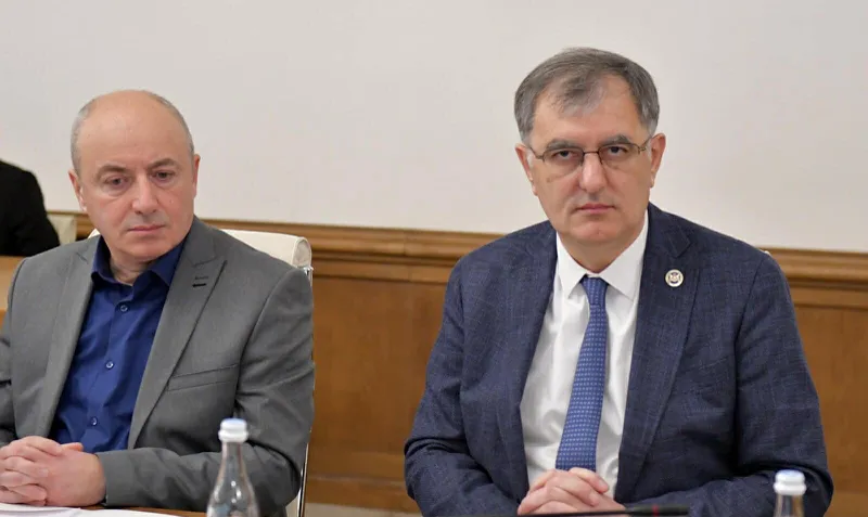 Sozar Subari: If Mamuka Khazaradze and Badri Japaridze do not come to the investigative commission session, Georgian legislation has its rule - this is a crime punished by up to one year of imprisonment