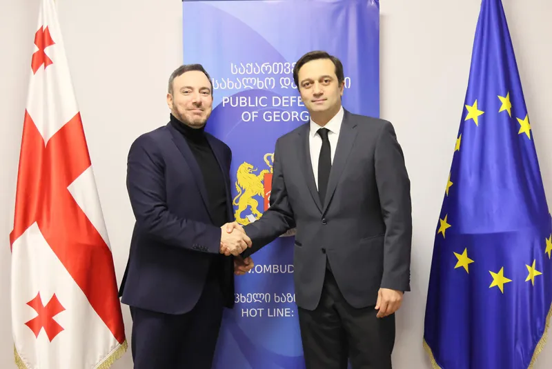 საქართველოს სახალხო დამცველი ევროპარლამენტარ სერგეი ლაგოდინსკის შეხვდა