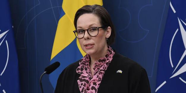 Министр иностранных дел Швеции – Я переживаю по поводу арестов в Грузии оппозиционных лидеров Ники Мелия и Зураба Джапаридзе