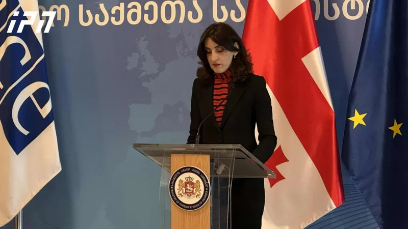 Maka Bochorishvili: Abkhazia and the Tskhinvali region remain under Russian occupation – we consider the unconditional resumption of the Gali Mechanism essential