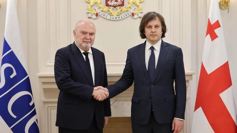 Irakli Kobakhidze meets with OSCE Secretary General
