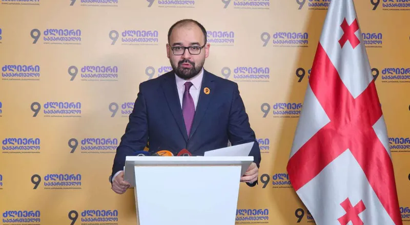 Grigol Gegelia: Maka Botchorishvili officially abolishes the Directorate General for European Integration and dismisses 250 patriots - with this, the Dream declares that European integration is no longer a priority of the Ministry of Foreign Affairs