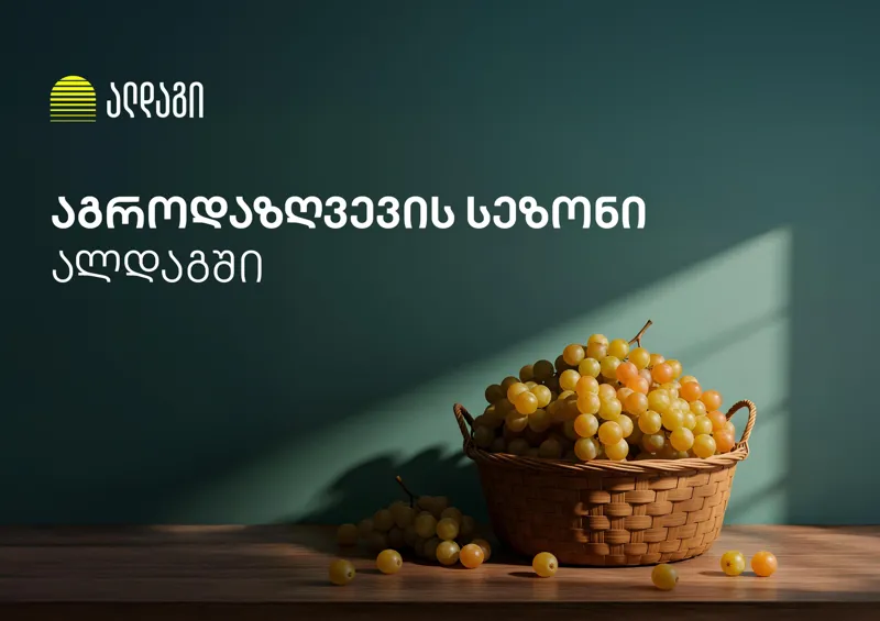 აგრო დაზღვევა „ალდაგში“ ყველაზე სწრაფი ანაზღაურებით დაიწყო