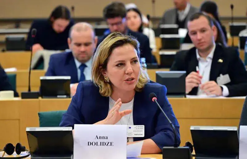 Ana Dolidze on the "MEGOBARI Act": A New Reality Will Soon Emerge – "Georgian Dream" Is in a Dead End
