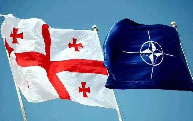 NATO Official: NATO Allies Are Concerned About Georgia's Trajectory – The Alliance Urges Georgia to Continue Reforms and Uphold Democratic Values