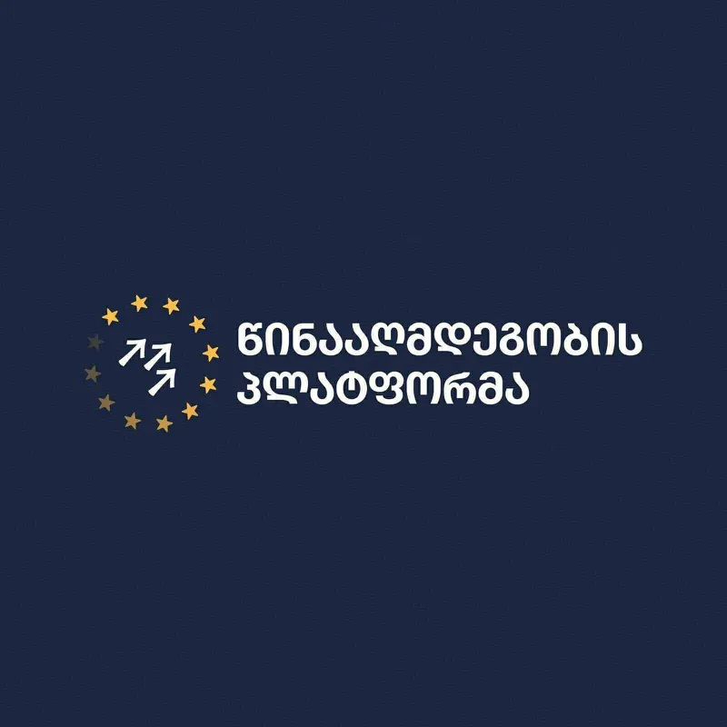 Resistance Platform: The only force that organizes provocations against its own citizens and the state is Ivanishvili's Russian regime