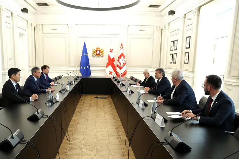 მიხეილ ყაველაშვილმა საერთაშორისო სავალუტო ფონდის მისიის ხელმძღვანელთან შეხვედრა გამართა