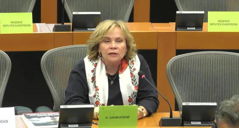 Rasa Juknevičienė: Mzia Amaglobeli and her friends deserve help, serious sanctions are needed against the regime - let's not ask them to return to the EU path, they will not return, this regime has the genes of the Kremlin
