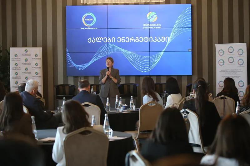 სემეკში მიმდინარე მენტორობის პროგრამის - „ქალები ენერგეტიკაში“ შემაჯამებელი ღონისძიება გაიმართა