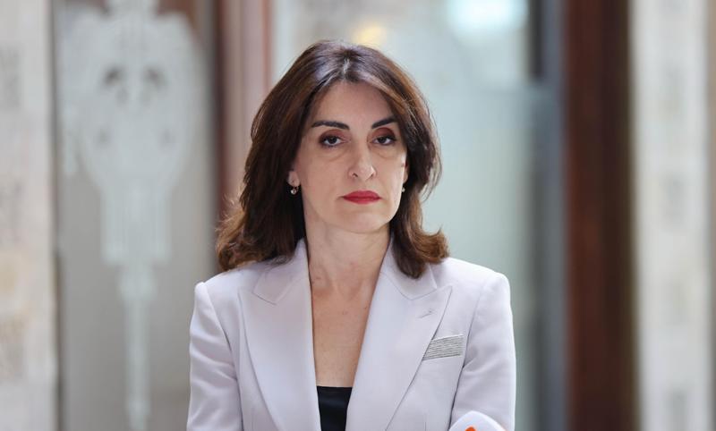 Maka Botchorishvili 关于免签证旅行：这个问题在布鲁塞尔没有很多支持者，然而，工作仍在继续，以利用这个话题来反对格鲁吉亚人民的利益。