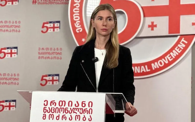თინა ბოკუჩავა - ეს ანტი-ევროპული და ანტი-ეროვნული რეჟიმი უნდა დაემხოს! თავისუფლება ნიკას! თავისუფლება ყველა პოლიტპატიმარს, ბოლოს მაინც ჩვენ მოვიგებთ!