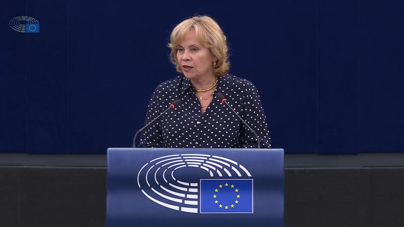 Rasa Juknevičienė：Ivanishvili 的政权正在比克里姆林宫在俄罗斯时更快地摧毁自由和民主。