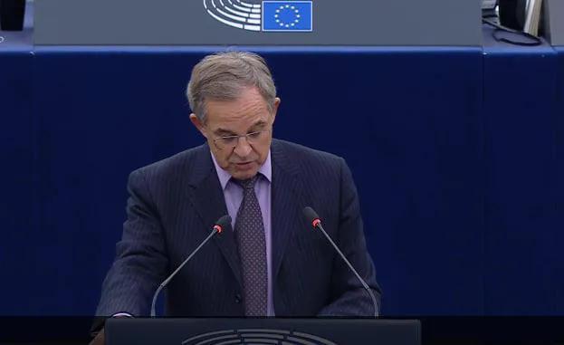 Thierry Mariani: 格鲁吉亚人不需任何人的干涉——既不是来自莫斯科，也不是来自布鲁塞尔