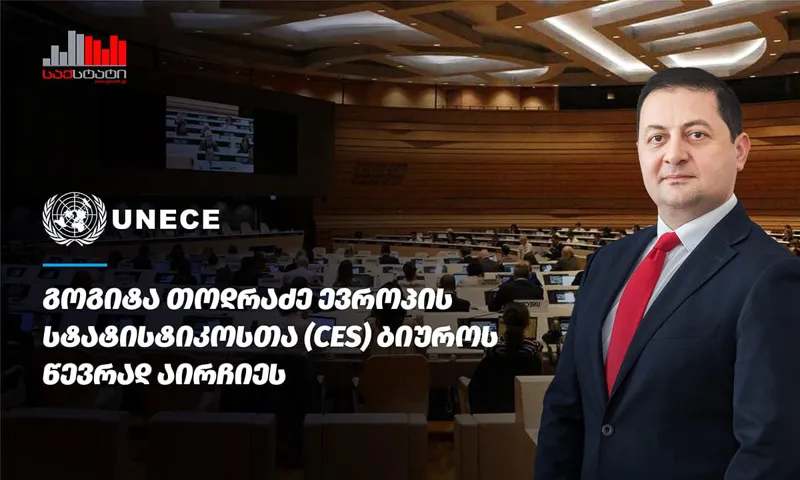 გოგიტა თოდრაძე ევროპის სტატისტიკოსთა ბიუროს წევრად აირჩიეს