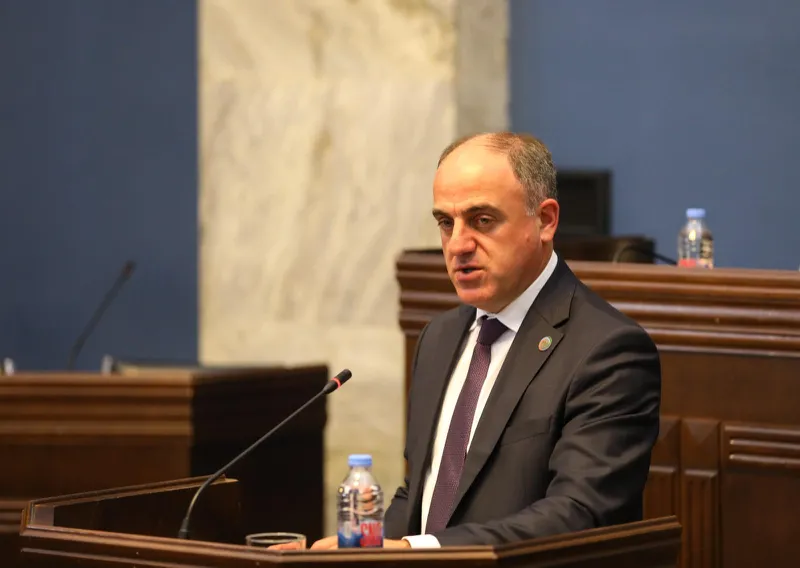 პარლამენტის ადამიანის უფლებათა დაცვისა და სამოქალაქო ინტეგრაციის კომიტეტის სხდომაზე დავით ნარმანიამ სემეკ-ის 2024 წლის საქმიანობის ანგარიში წარადგინა