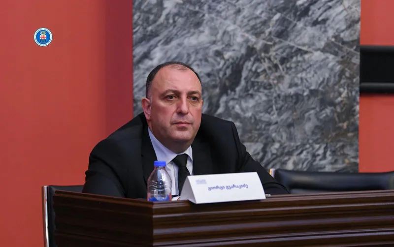 გიორგი გვარაკიძე - პირადი ცხოვრების ამსახველი ინფორმაციის უკანონო გავრცელების წინააღმდეგ ბრძოლა და მართლმსაჯულების აღსრულება ერთ-ერთი პრიორიტეტი იქნება