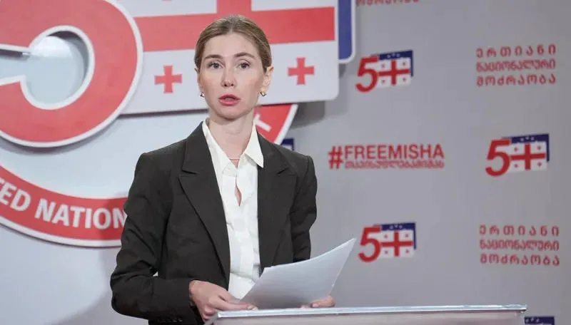 Tina Bokuchava: I do not intend to appear before the illegitimately established 'treason commission'