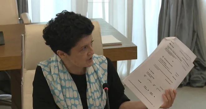 Tea Tsulukiani to Giorgi Gakharia: Here is a one-way ticket. After you knew that you were supposed to come here, you left the country, why?