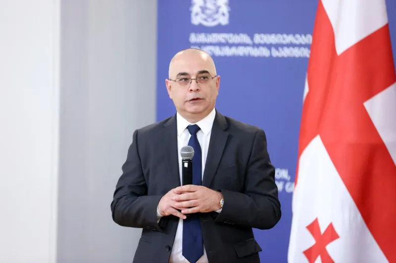 საქართველოს განათლების, მეცნიერებისა და ახალგაზრდობის მინისტრის პირველ მოადგილედ ლევან ღირსიაშვილი დაინიშნა