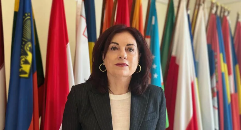 ODIHR-ის დირექტორი - გამოვთქვამთ ღრმა შეშფოთებას, FARA-ს კანონმდებლობასთან, „უცხოური გავლენის გამჭვირვალობის შესახებ“ კანონსა და „გრანტების შესახებ“ კანონში მიღებულ ცვლილებებთან დაკავშირებით - შეუთავსებელია ადამიანის უფლებათა საერთაშორისო სტანდარტებთან