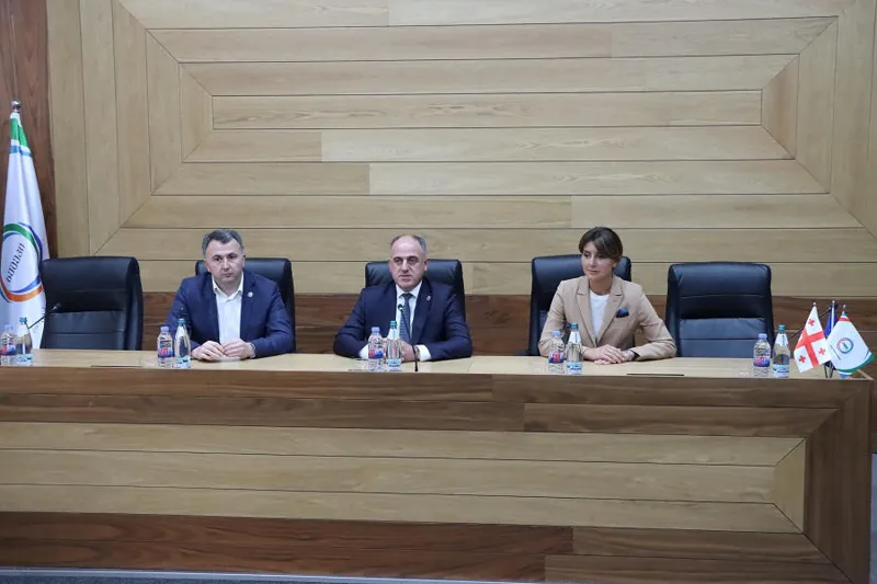 სემეკში რუსთავის წყალმომარაგების საკითხებთან დაკავშირებით შეხვედრა გაიმართა