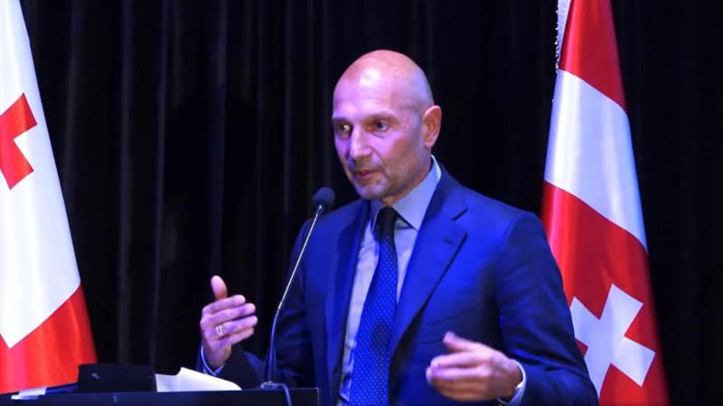 伊尔玛·奇卡杜阿：乔吉·拉米什维利说，发生了一些意想不到的事情，甚至可以称之为错误——他并不将这一事件与任何政治进程联系起来。