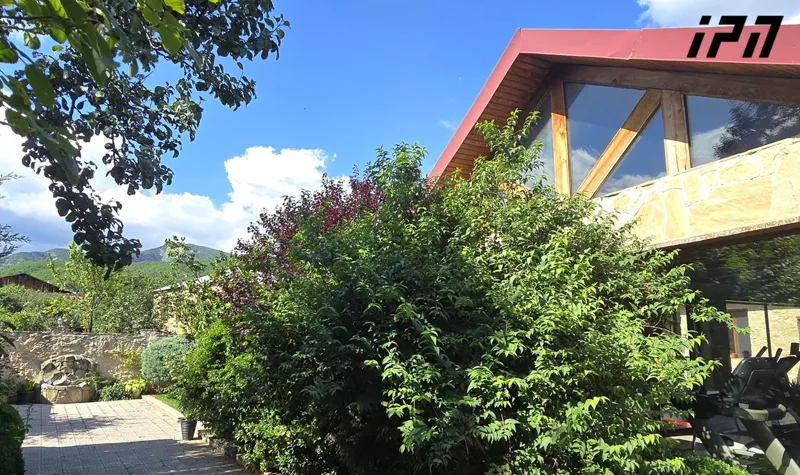 According to the Prosecutor's Office, Tornike Rizhvadze secretly took Alexi Akhvelediani's firearm, brought it to a bedroom designated for guests, and, while alone, shot himself in the chest with the intent of suicide