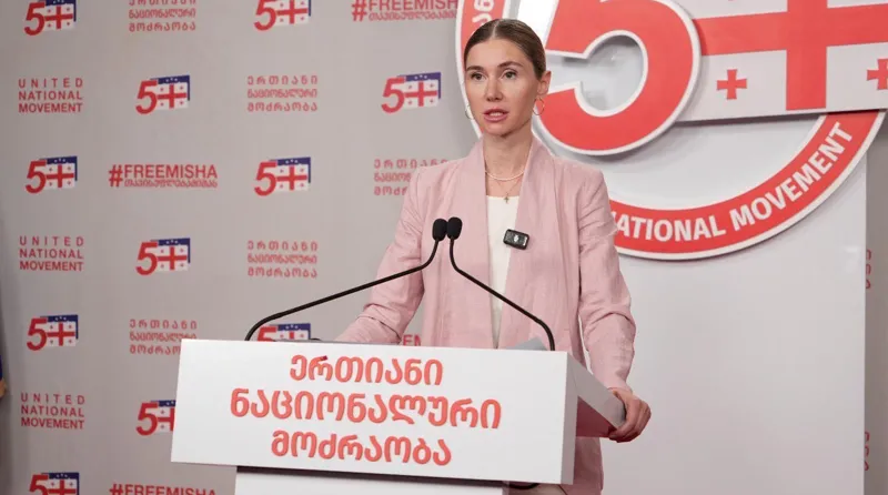 Tina Bokuchava: The National Movement is doing its best to ensure that the mechanism for temporarily suspending visa liberalization is implemented not for Georgian citizens, but only for representatives of the regime