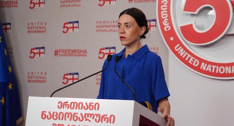 阿纳·齐特利泽：格鲁吉亚梦想政治委员会的声明令人无比震惊——如果国家有“深层政府”，那就是比齐纳·伊万尼什维利。