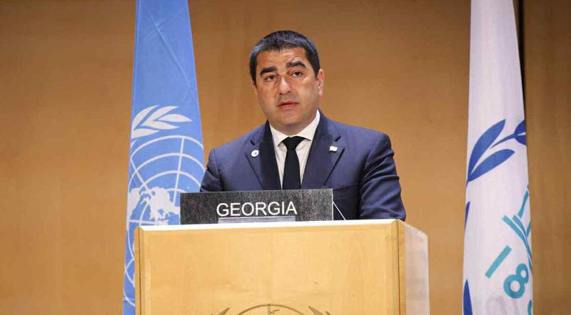 Shalva Papuashvili: 过度的外国干涉应该让位于对国家主权的尊重，以及外国资助的NGO让位于真正的公民社会。