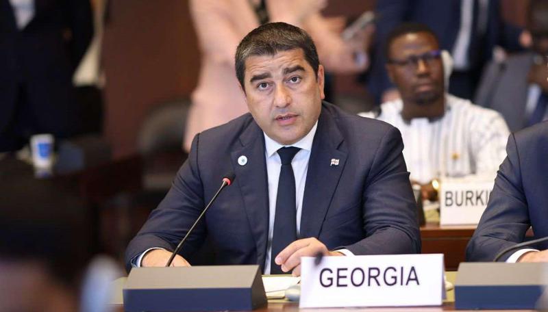 沙尔瓦·帕普阿什维利：我们选择了和平、改革、民主发展和创新的道路——讽刺的是，像主权、独立和民主这样的传统价值观如今却是最大的创新。