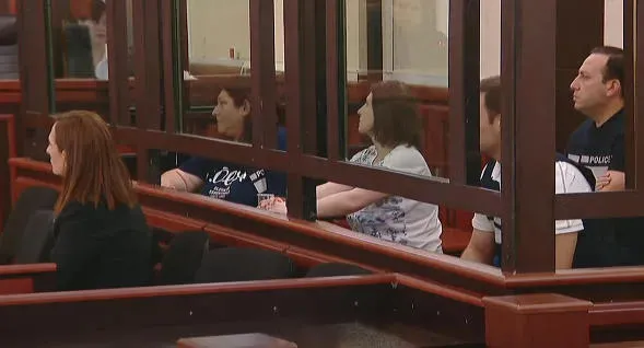 Nino Datashvili's trial underway in Tbilisi City Court - representatives of German, Danish, Dutch and EU embassies attending the process