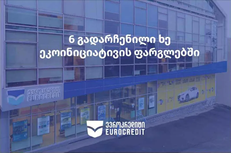 6 გადარჩენილი ხე - „ევროკრედიტი“ აგრძელებს გარემოზე ზრუნვას