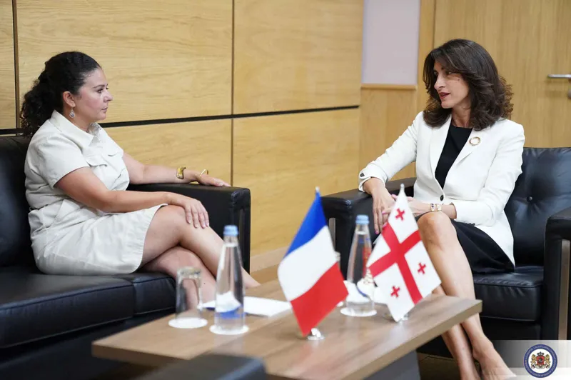 Ministry of Foreign Affairs: Maka Botchorishvili held a farewell meeting with the French Ambassador - hope was expressed that EU-Georgia relations would return to the usual agenda