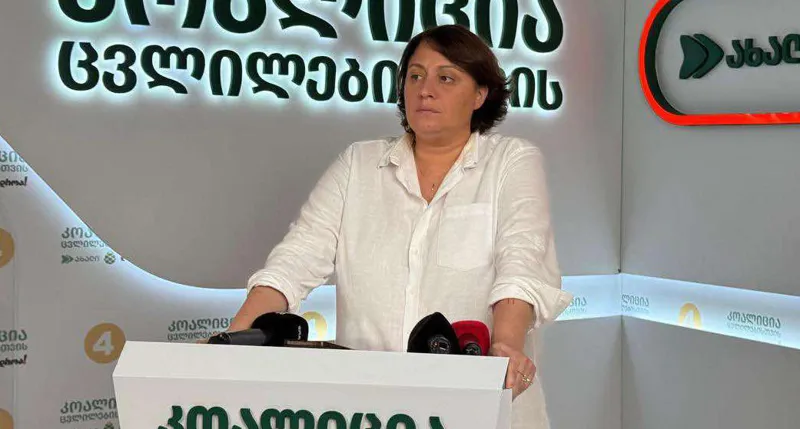 Elene Khoshtaria on seizure of NGOs’ accounts: This is a deliberate step in the Russian style, this is a deliberate step so that we lose visa-free travel and never have a European perspective again