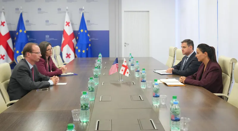 Mariam Kvrivishvili meets with U.S. Chargé d’Affaires Alan Purcell