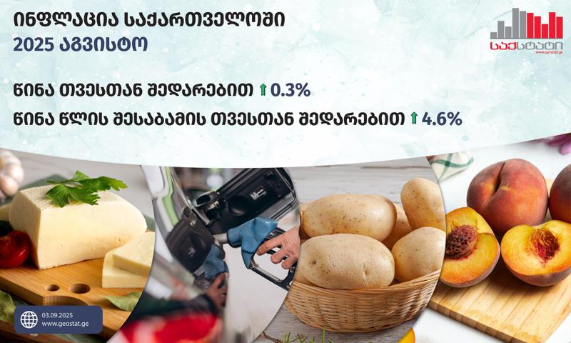 “GeoStat”：2025年8月，格鲁吉亚的月通胀率是0.3%，而年度通胀率达到4.6%。